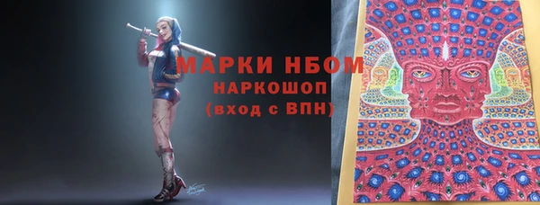 стаф Бородино