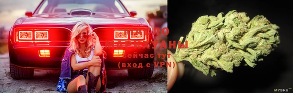 стаф Бородино
