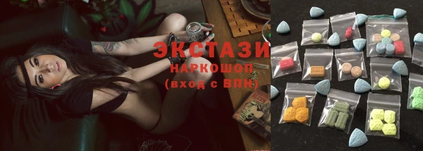 стаф Бородино
