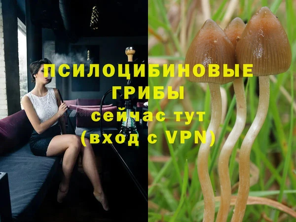 бутират Бугульма