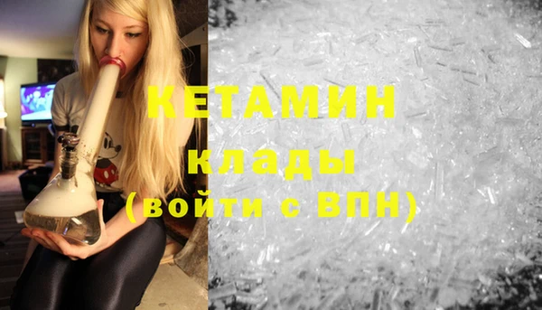 стаф Бородино