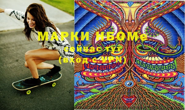 стаф Бородино