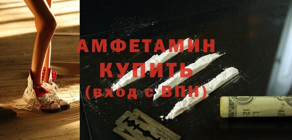 стаф Бородино