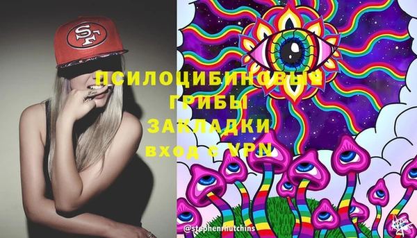 стаф Бородино