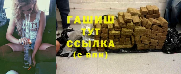 стаф Бородино