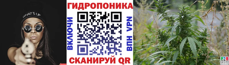Купить  Верея  Бошки Шишки Bruce Banner 